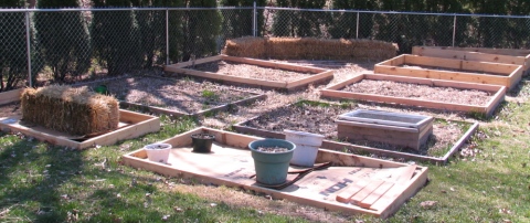 Two new beds (near the viewer) and four raised to be deeper