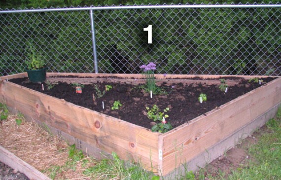 Bed 1 is my wife's herb garden with an 8 foot row of cucumbers along the fence.  Just seeded this weekend.