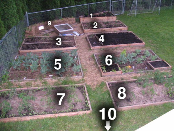 Gardening by numbers