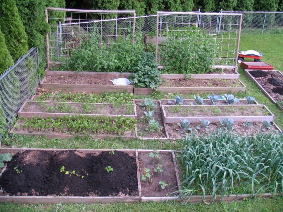 Garden overview in Early May