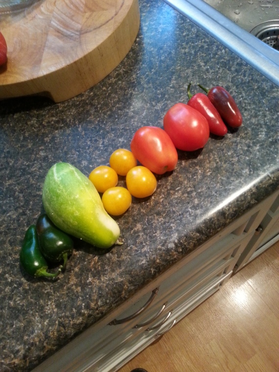 I realized today that with the yellow throw in there I had quite an assortment of colors on my counter.